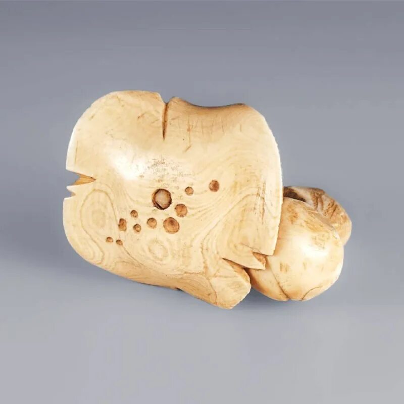 костный век