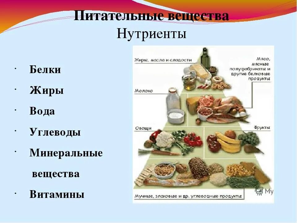 Пищевые продукты и пищевые вещества. Пищевые продукты и питательные вещества. Выберите из списка пищевые вещества. Пищевые и питательные вещества. Основные питательные вещества в продуктах.