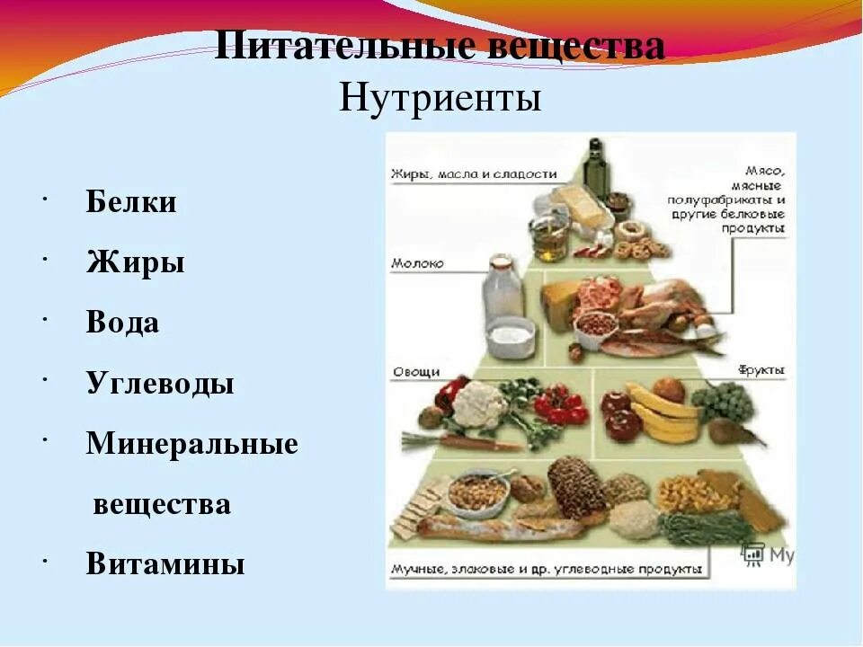 Пища человека белки жиры и углеводы. Белки жиры углеводы витамины Минеральные вещества вода. Питательные вещества в продуктах питания. Основные питательные вещества в продуктах. Пища и питательные элементы.