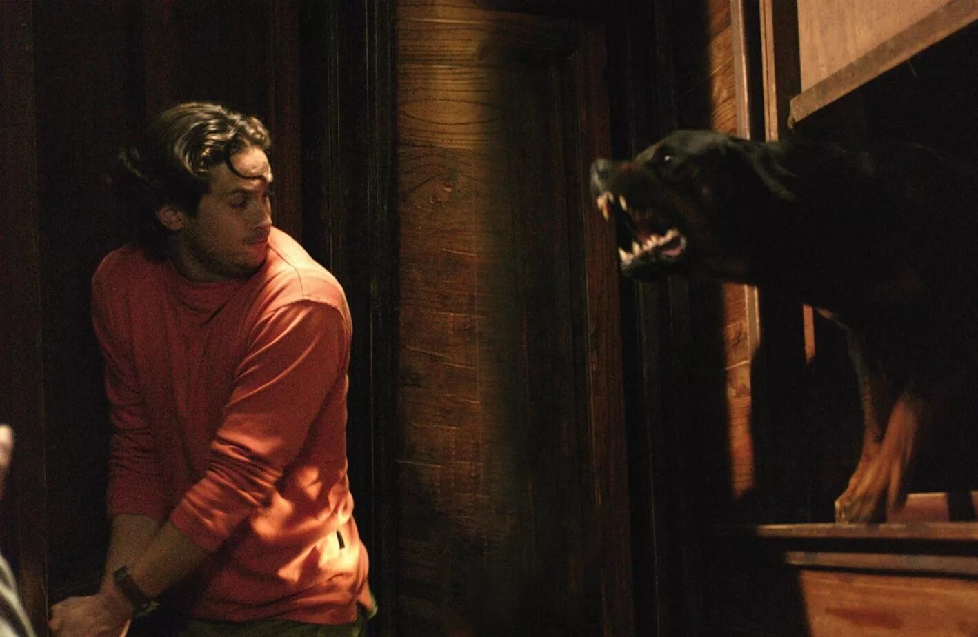 Свора сюжет. Свора сюжет. Свора сюжет. Стая 1977. Свора сюжет.