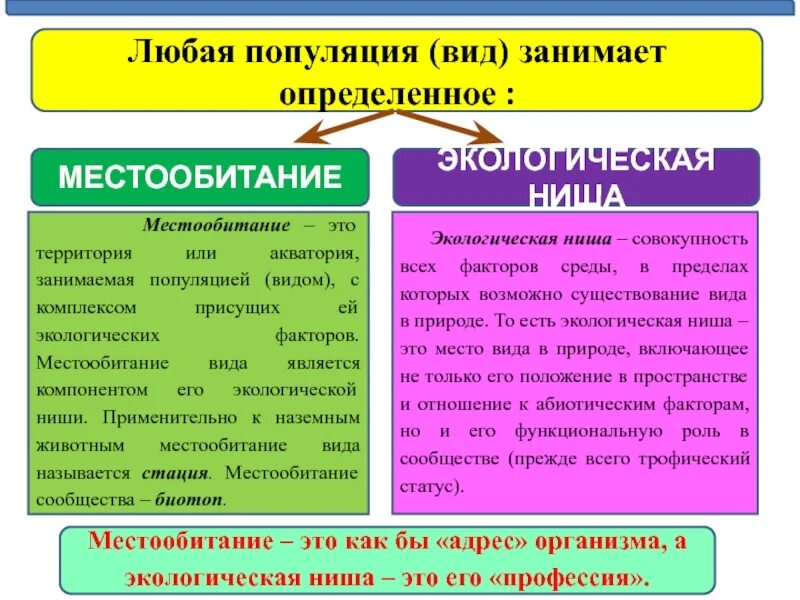 Чем различаются местообитания и экологическая ниша. Местообитание и экологические ниши. Местообитание и экологические ниши организмов. Экологическая ниша местообитание организмов. Экологические ниши презентация.