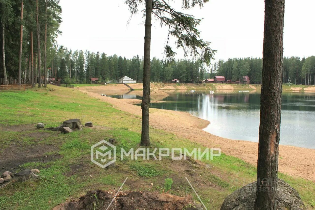 Коттеджный поселок березовка. Березовка коттеджный поселок ленинградская область. Березовка ленинградская область. Березовка ленинградская область. Коттеджный поселок березовка всеволожский р-н.