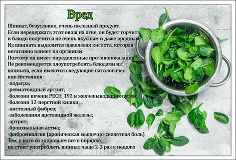 Шпинат противопоказания для женщин