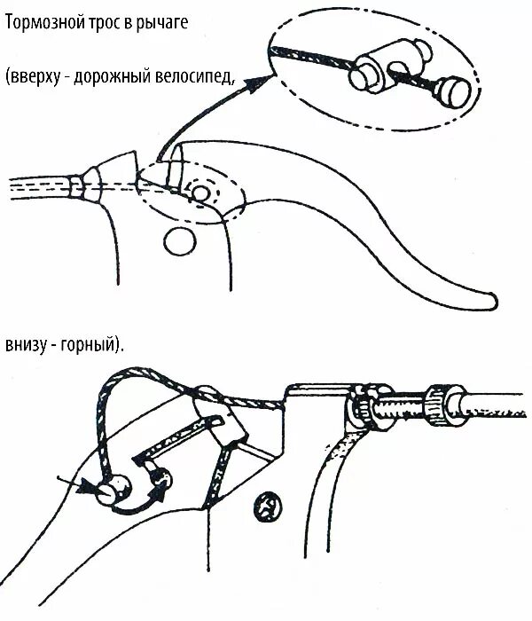 Тормоз велосипедный схема. Регулировочные винты передних тормозов велосипеда. Схема установки и регулировки велосипедного тормоза. Стопор троса тормоза велосипеда. Сборка тормозов велосипеда