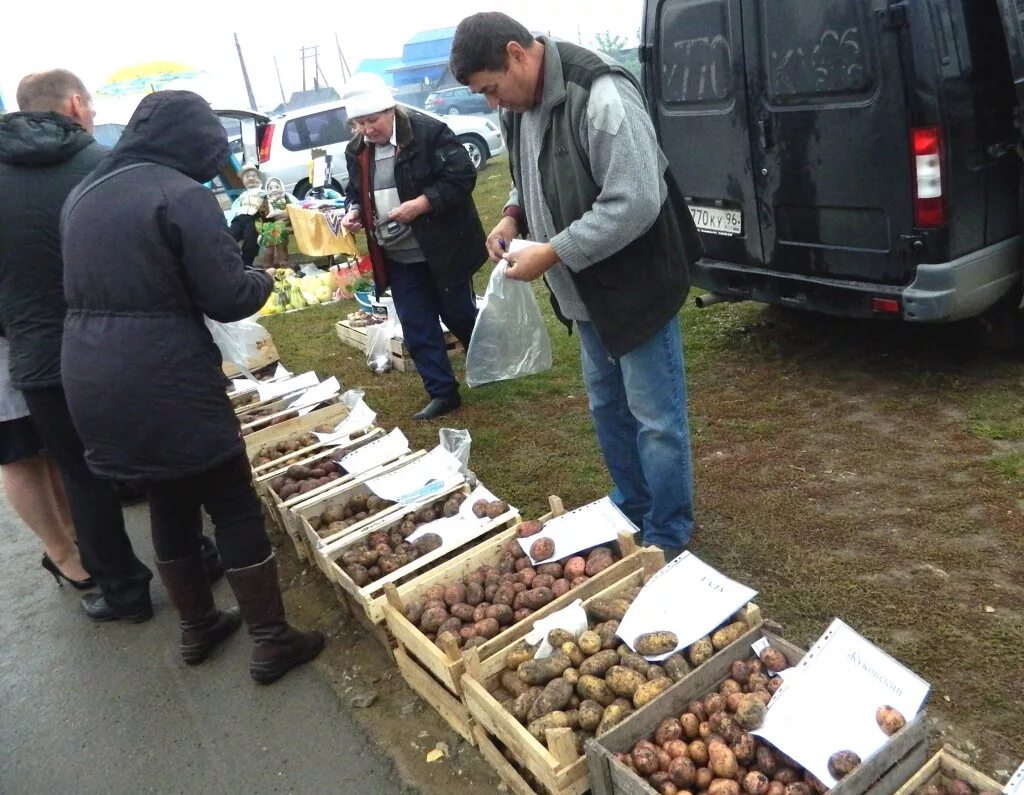 Краснодар рынок вишняки восточные сладости. Никольская ярмарка в красноуфимске. Школьная ярмарка. Город приданниково в красноуфимске фото. Ярмарка красноуфимск.
