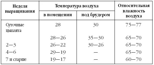 Температурный режим выращивания цыплят кур несушек. Таблица температуры и влажности в брудере для цыплят бройлеров. Температура в брудере для цыплят бройлеров таблица. Цыплята бройлеры температурный режим выращивания. При какой температуре можно цыплят