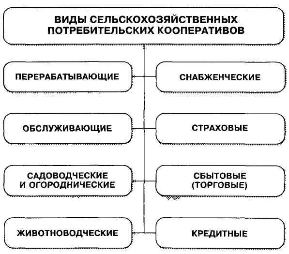 Виды кооперативов. Виды потребительских кооперативов. Потребительский кооператив пример. Виды кооперативов и их классификация в России. Преобразование кооператива