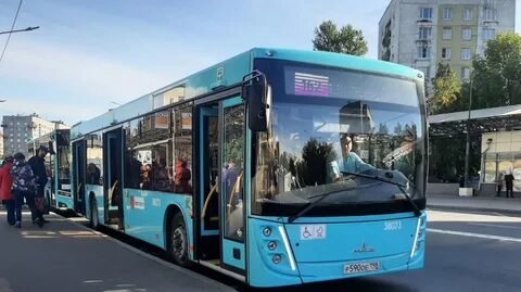 Автобус 203 спб
