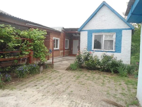 Погода александровка ростовская область азовский. Село александровка ростовская область. Калиновка азовский район ростовская область. Погода александровка ростовская область азовский. Александровка азовский район ростовская.