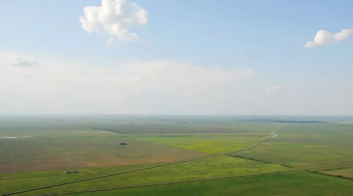 Равнины 200 500 метров. Кулундинская степь Алтайский край. Кулундинская равнина. Равнины Алтайского края. Кулундинские степи Алтайский край фото.