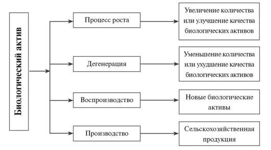 Биологический Актив МСФО 41. Биологические Активы в бухгалтерском учете это. Классификация биологических активов. МСФО 41 сельское хозяйство. Учет биологических активов