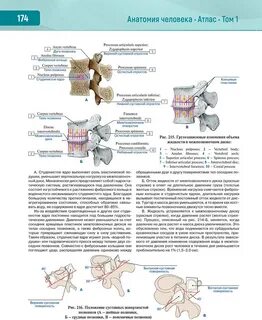 Атлас том 3