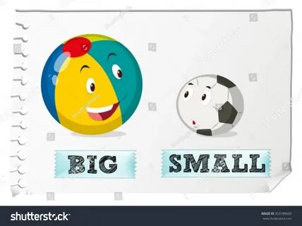 Big small book