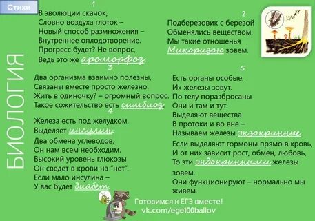 Стихи систематика