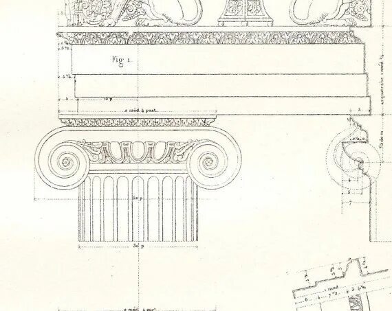 Валюта ордера. Капитель Ионического ордера чертеж. Ионический ордер разрез. Ионический ордер Капитель схема. Ионический ордер чертеж.
