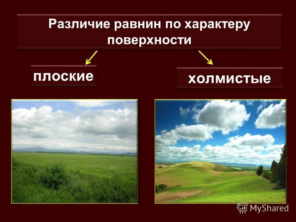 Каких равнин не бывает. Равнины по характеру поверхности. Плоские и холмистые равнины. Равнины по характеру рельефа. Виды равнин по рельефу.