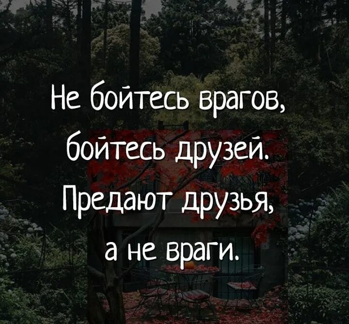 Может ли враг стать другом. Не бойся врагов бойся друзей. бойтесь друзей предают друзья а не враги. не бойтесь врагов бойтесь друзей предают. бойся друзей а не врагов.