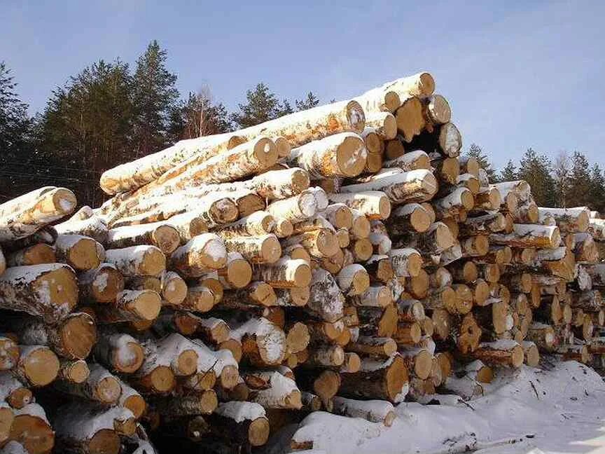Полен город. «сельпо», деревня звизжи, калужская область. Полен город. Дрова береза. Полен город.