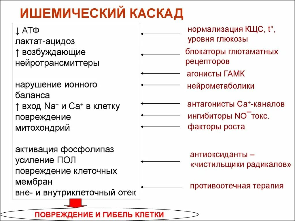 Патогенез ишемического инсульта. Ишемический каскад при онмк. ишемический каскад при инсульте. патогенез ишемического инсульта ишемический каскад. ишемический каскад при ибс.