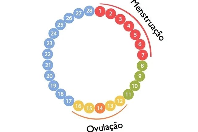 Калькулятор овуляции 2024. Альфа Фертиль.