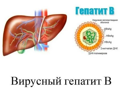 Гепатит б 6. Гепатит рисунок.