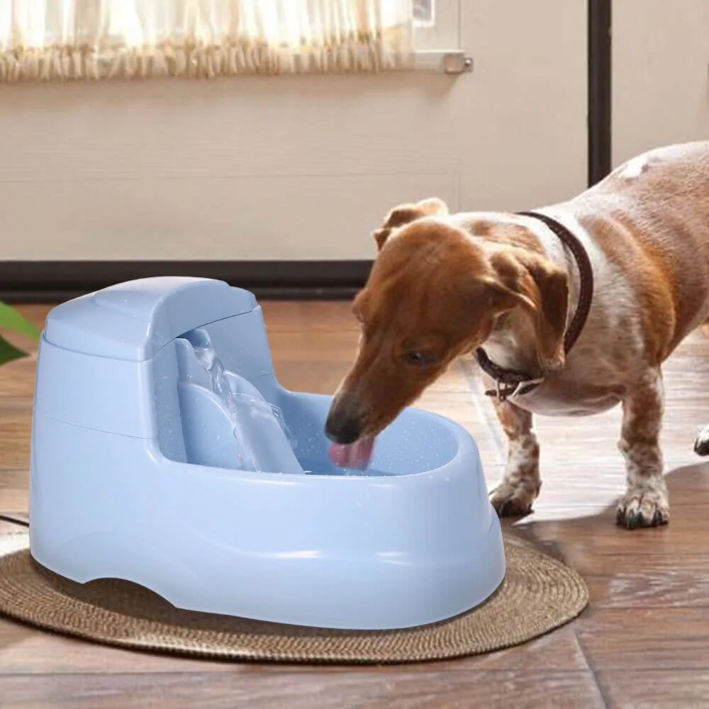 Фонтан-поилка Pet Fountain. Поилка-фонтанчик Fountain электрическая catpf2f. Pet Water Fountain поилка. Автоматическая поилка для собак крупных пород. Купить поилку для собаки