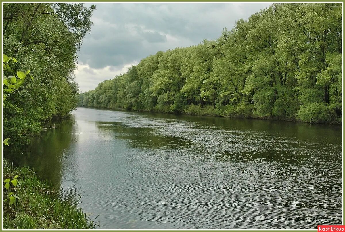 he Pshel River in July 2008 Sumy - Gadyach