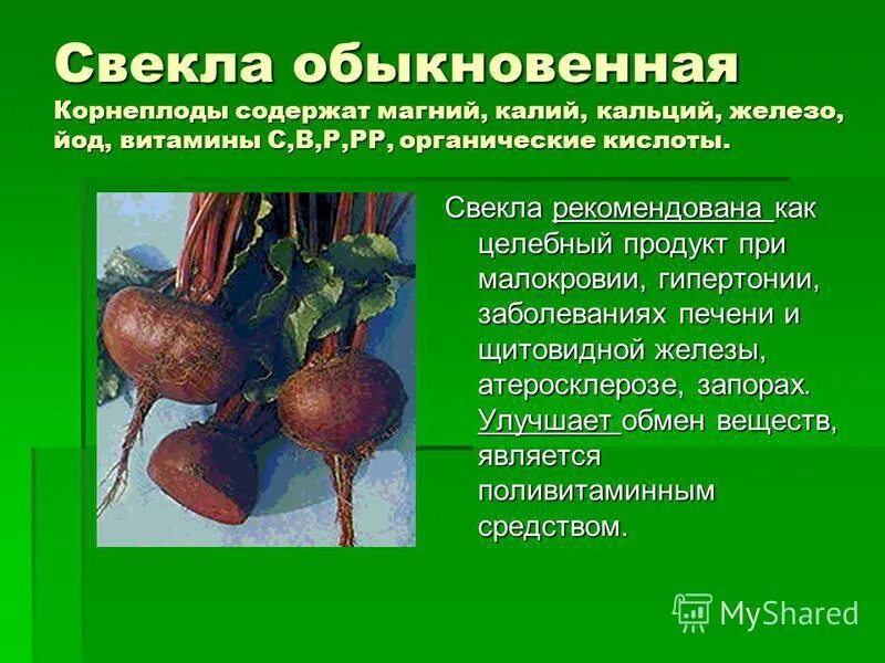 Корнеплоды содержат. Разновидности корнеплодов. Корнеплоды моркови выполняют функцию:. Функции корнеплода моркови. Овощи и корнеплоды перечень.