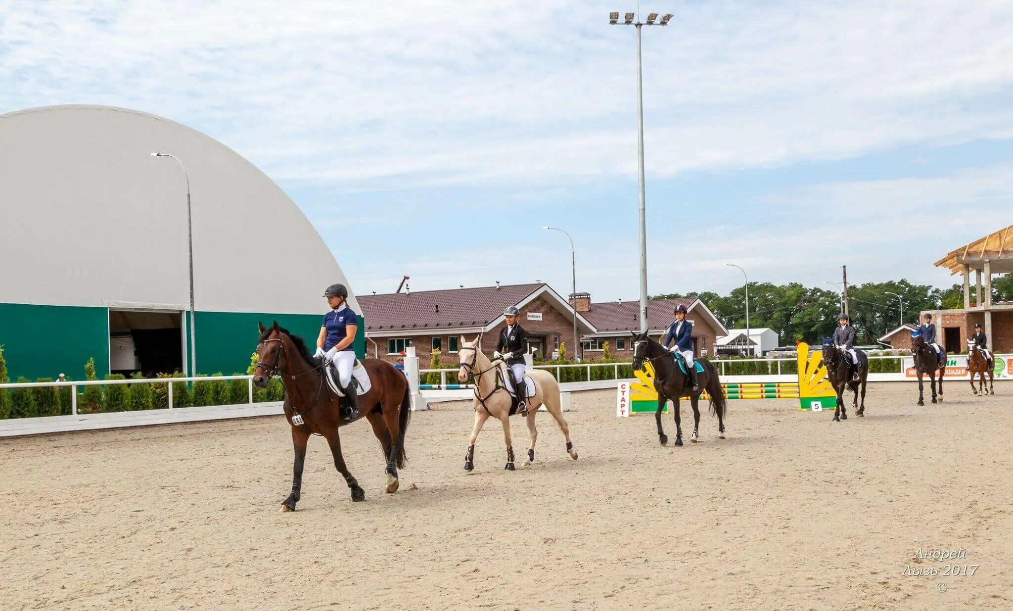 КСК Голден Хорс. Golden Horse Таганрог. Ростовская область Таганрог Голден Хорс. Таганрог конно-спортивный клуб Golden Horse. Спа голден хорс