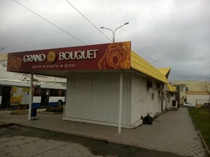 Золотая рыбка 1б новороссийск