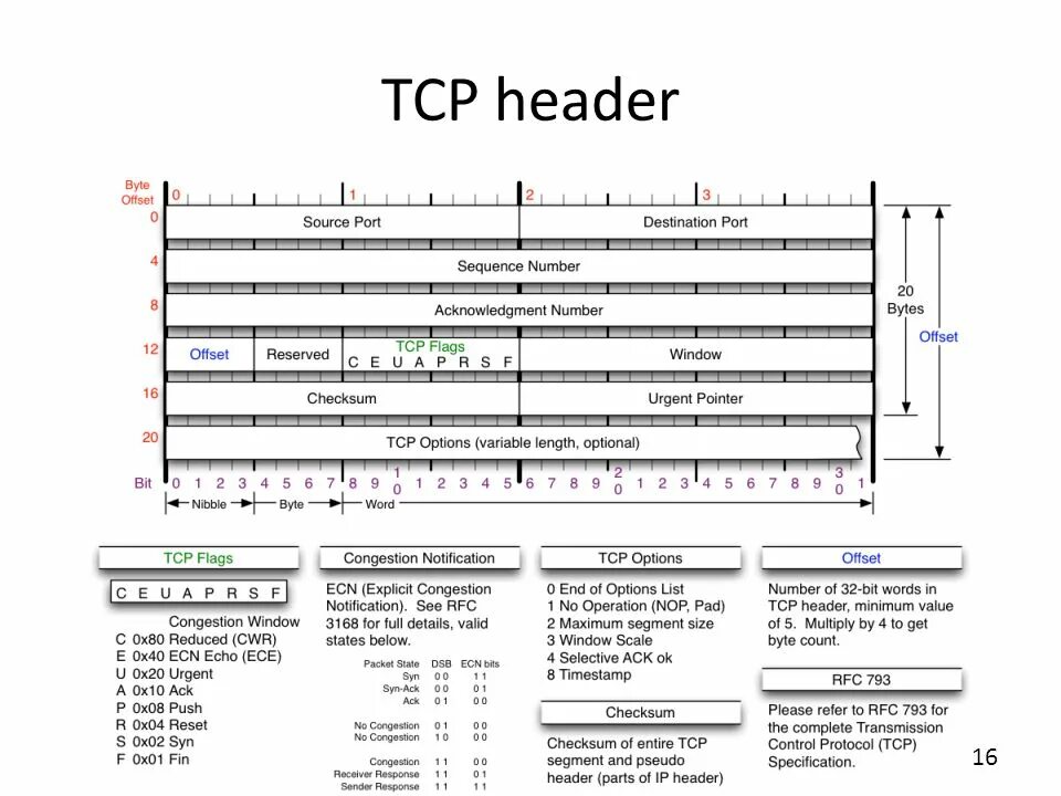 Udp ipv4. Заголовки tcp и udp. заголовок udp. udp фрейм. control bits tcp.