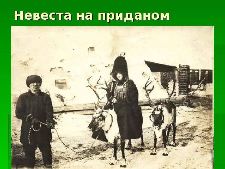Абрикосов якутов. Старый якут. Абрикосов якутов. Буряты начало 20 века. Абрикосов якутов.