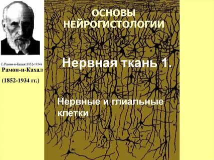 Нервно 2