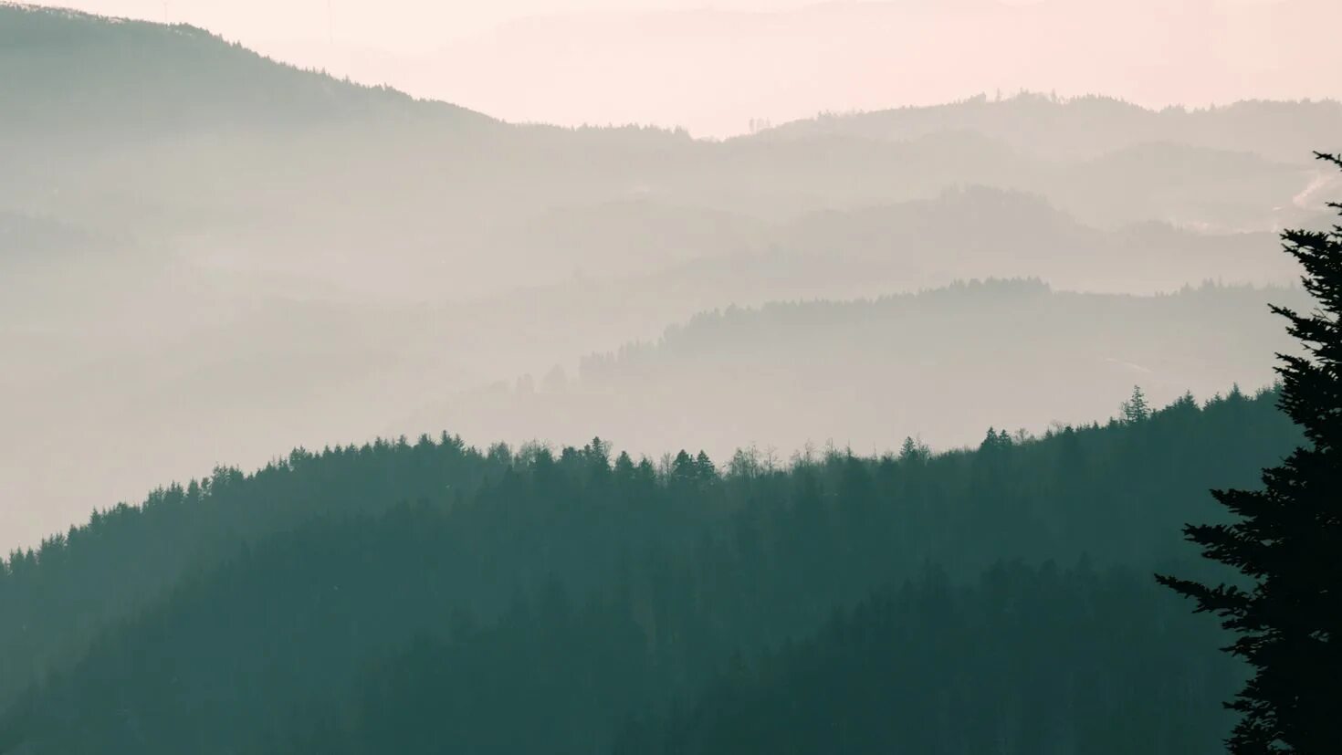 Красивое небо с туманом. Затуманенное небо. Sky fog. Серое туманное небо. Серое небо.