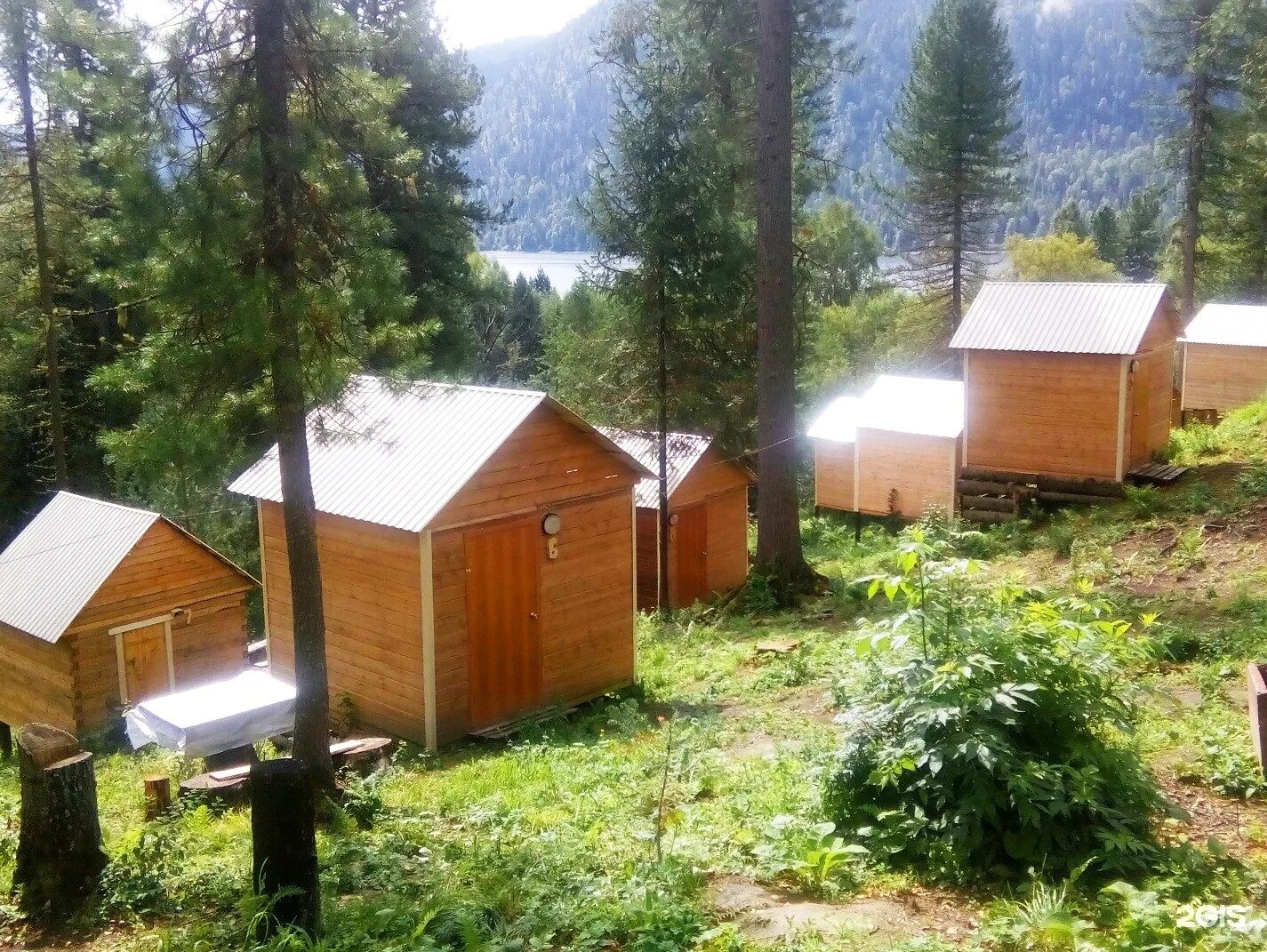 Алтын-кёль горный алтай. Кедровый берег турбаза горный алтай. Турбаза горное озеро артыбаш. Турбаза горное озеро артыбаш. Артыбаш.