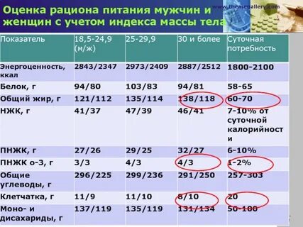 Гигиенические оценки питания