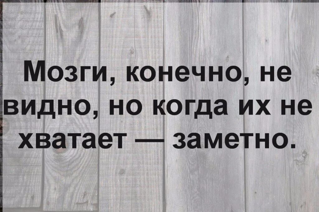 Отсутствие мозга. Мозги не видно но их отсутствие заметно. Мозги конечно не видно. Мозги не видно. Мозги конечно не видно но когда.