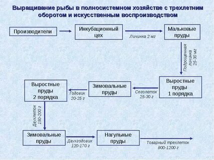 Искусственный оборот