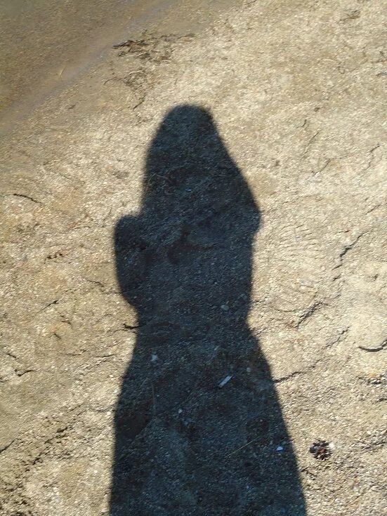 Тень гамлета. Гамлет дух отца. Тень отца гамлета. Тень отца гамлета крылатое выражение. Шекспир гамлет призрак.