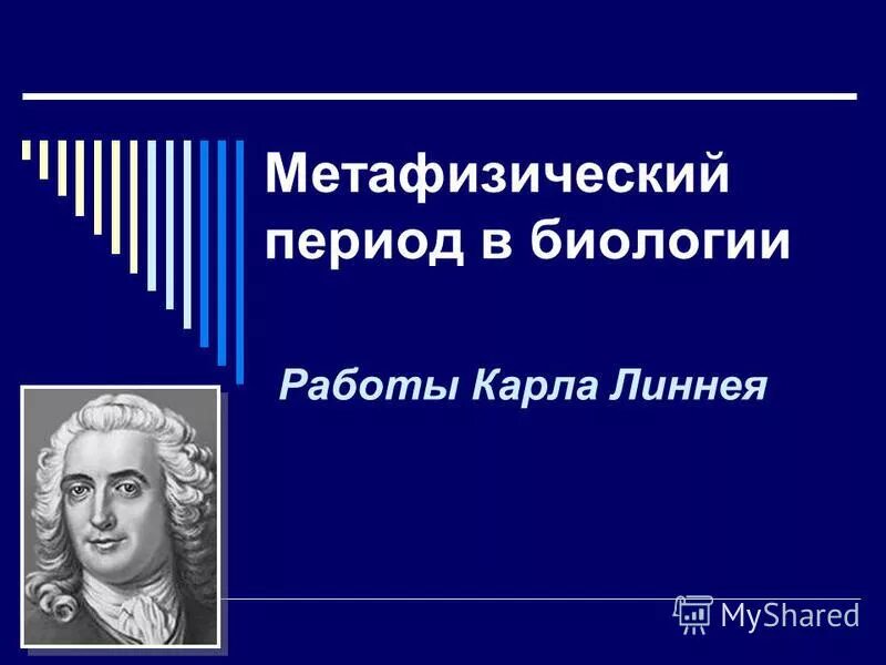 Метафизическая биология. Метафизическая биология. Метафизическая биология. Виды созданы творцом. Метафизическая биология.