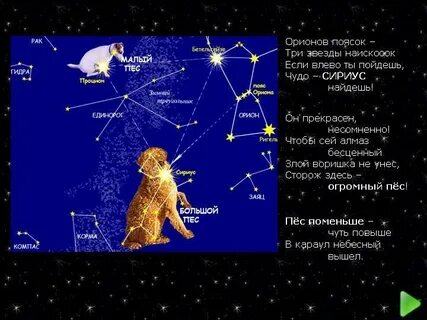 Малый пес самая яркая звезда