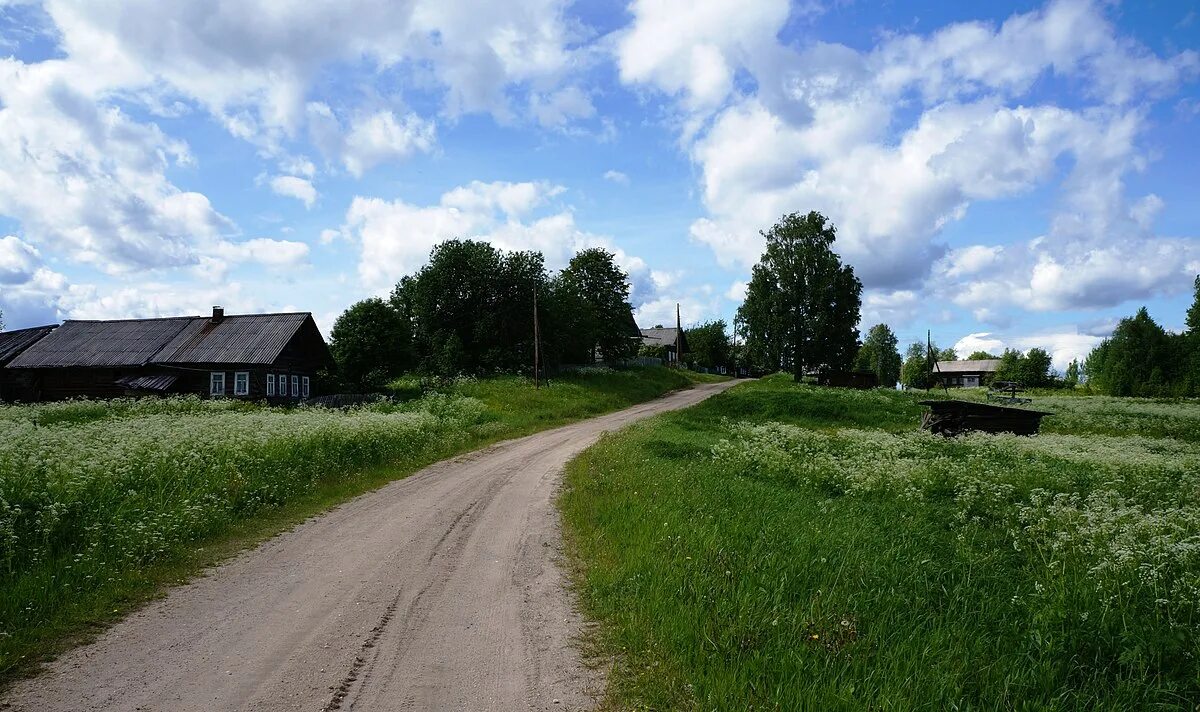 Кудрино вологодская область никольский район деревня. Люльково никольского района вологодской области. Деревня никольское вологодская область. Биряковская церковь сокольский район вологодская область. Деревня теребаево никольского района вологодской области.