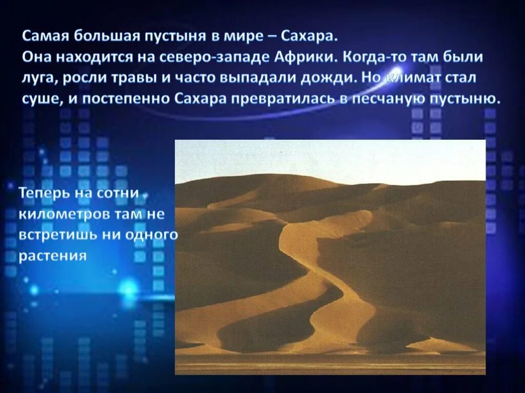 Сахара сколько осадков. Информация о пустыне сахара. Пустыня сахара доклад. Пустыни сахара доклад.