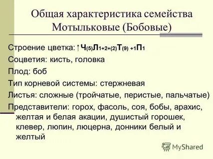 Особенности семейства мотыльковые