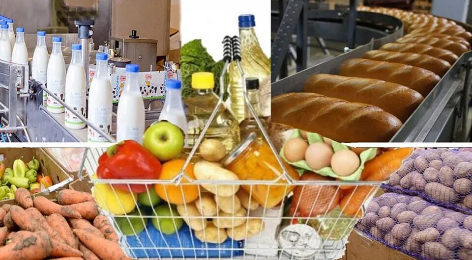 Организации торговля пищевыми продуктами. Пищевая промышленность. Пищевая и перерабатывающая промышленность. Пищевая промышленность России. Производство пищевых продуктов.