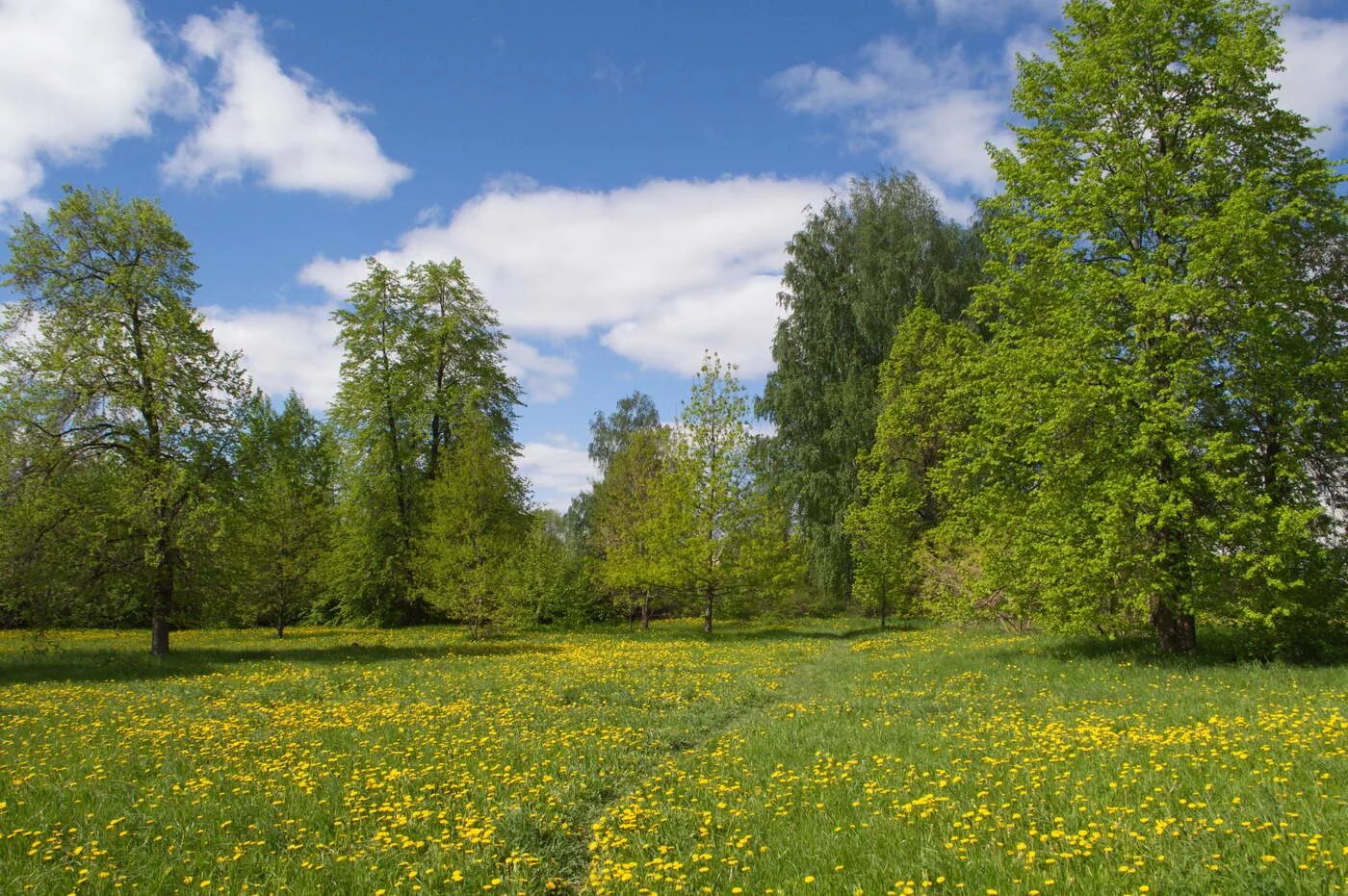 Май фото природы. Май природа. Природа в мае. Конец мая природа.