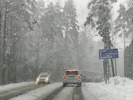 Снегопад засыпает дорогу