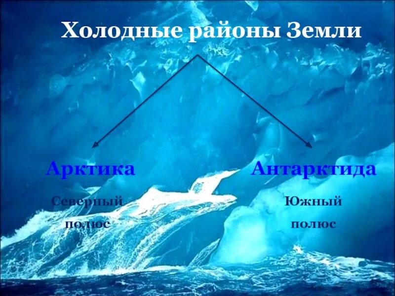 Холодные районы земли. Арктика и Антарктида. Северный полюс и Южный прллбст. Северный и Южный полюс Антарктида и Антарктика.