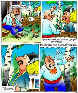 Сиди дурак