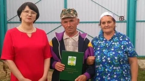 Яналыклар
